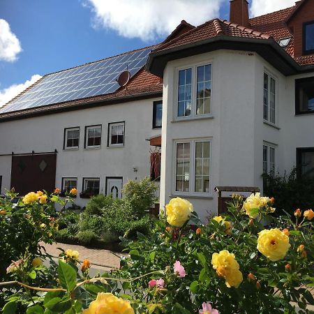 Gallowayhof Am Edersee Vöhl Dış mekan fotoğraf